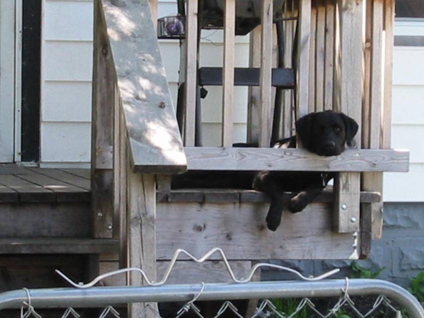 Runner Up - Greg Nelson Runner Up - Greg Nelson