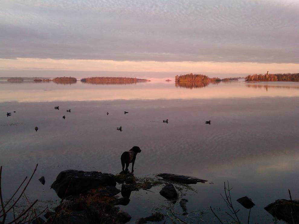 1st Place - Jack Pasternacki 1st Place - Jack Pasternacki